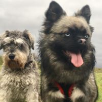 FAOLAN-AND-CLEO